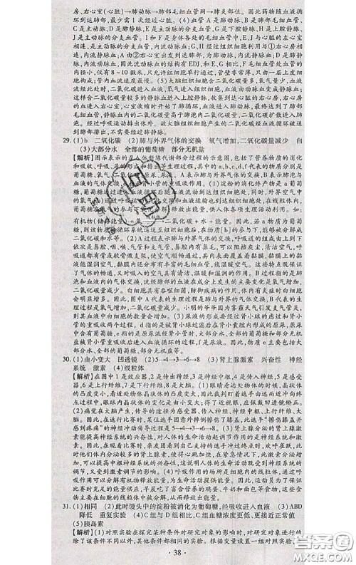 2020春全程测评试卷七年级生物下册人教版答案 2020春全程测评试卷七年级生物下册人教版答案