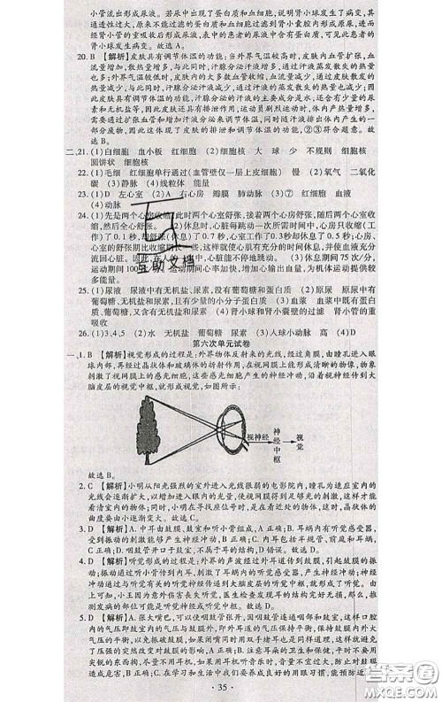 2020春全程测评试卷七年级生物下册人教版答案