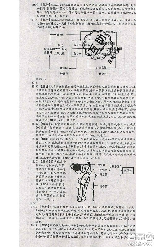 2020春全程测评试卷七年级生物下册人教版答案