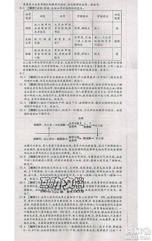 2020春全程测评试卷七年级生物下册人教版答案