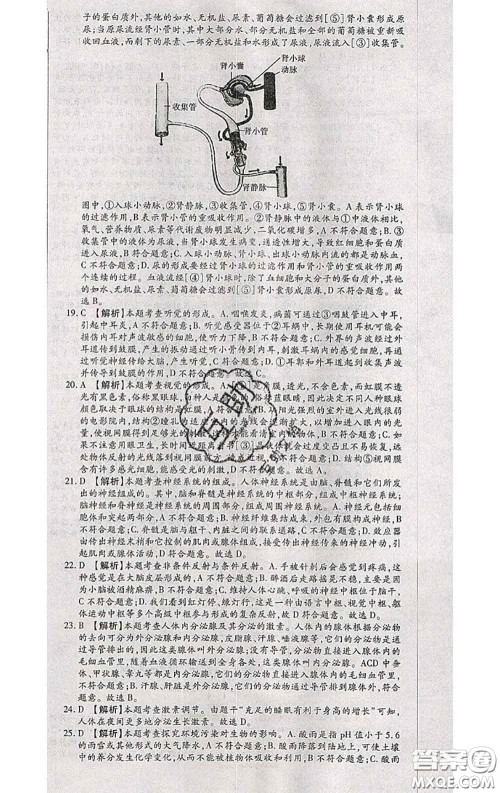 2020春全程测评试卷七年级生物下册人教版答案 2020春全程测评试卷七年级生物下册人教版答案