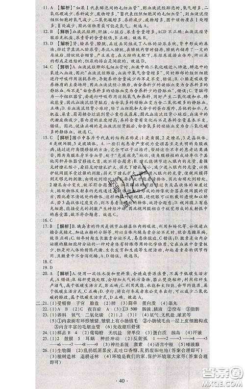 2020春全程测评试卷七年级生物下册人教版答案 2020春全程测评试卷七年级生物下册人教版答案