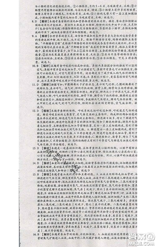 2020春全程测评试卷七年级生物下册人教版答案 2020春全程测评试卷七年级生物下册人教版答案