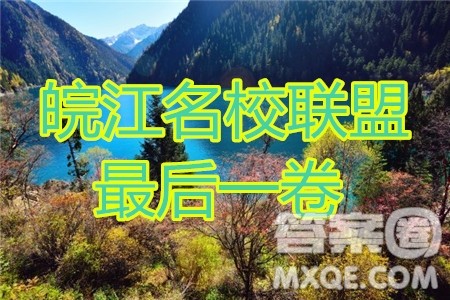 2020年皖江名校联盟决战高考最后一卷理科数学试题及答案