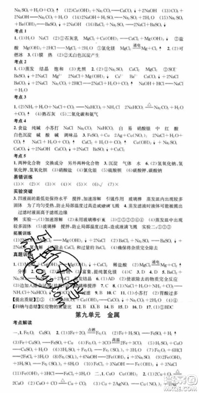 广东经济出版社2020火线100天中考滚动复习法化学鲁教版答案