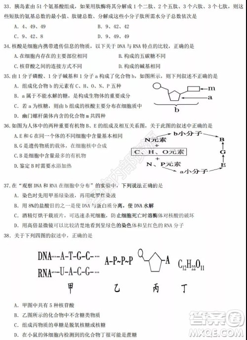 黑龙江省实验中学2019-2020学年下学期高二年级期中考试理科综合试卷及答案 黑龙江省实验中学2019-2020学年下学期高二年级期中考试理科综合试卷及答案