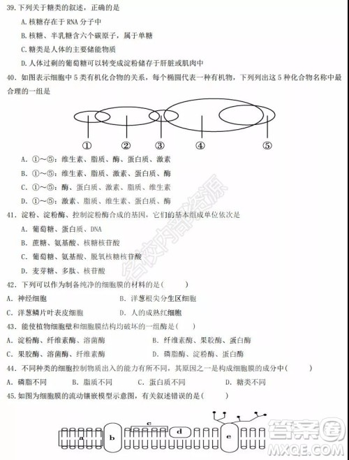 黑龙江省实验中学2019-2020学年下学期高二年级期中考试理科综合试卷及答案 黑龙江省实验中学2019-2020学年下学期高二年级期中考试理科综合试卷及答案