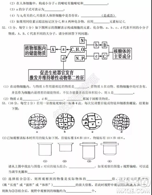 黑龙江省实验中学2019-2020学年下学期高二年级期中考试理科综合试卷及答案 黑龙江省实验中学2019-2020学年下学期高二年级期中考试理科综合试卷及答案