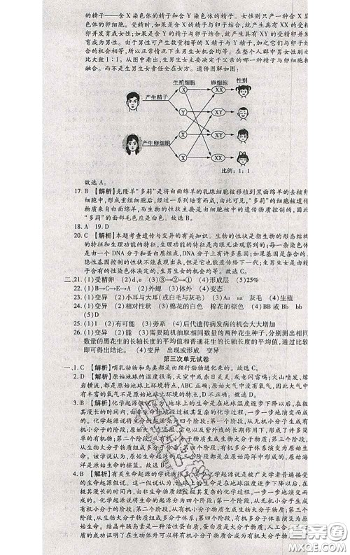 2020春全程测评试卷八年级生物下册人教版答案