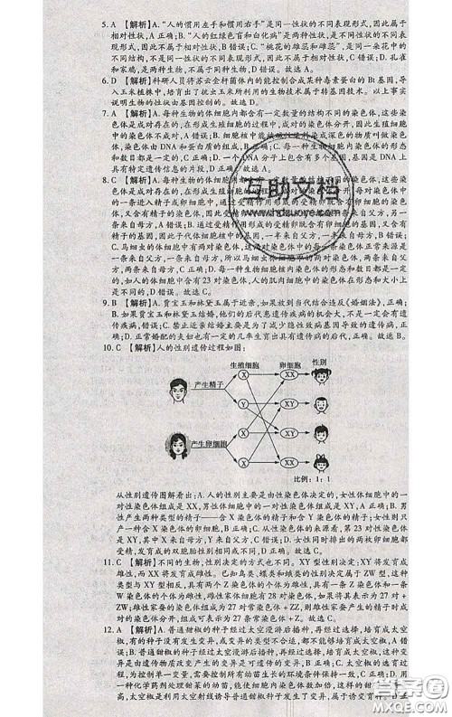 2020春全程测评试卷八年级生物下册人教版答案