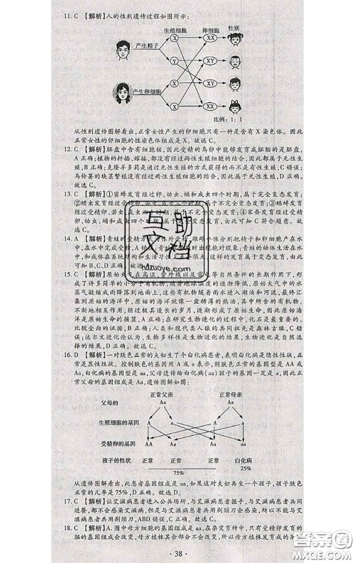 2020春全程测评试卷八年级生物下册人教版答案