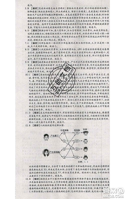 2020春全程测评试卷八年级生物下册人教版答案