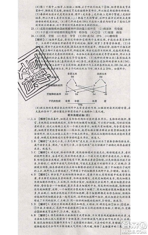 2020春全程测评试卷八年级生物下册人教版答案