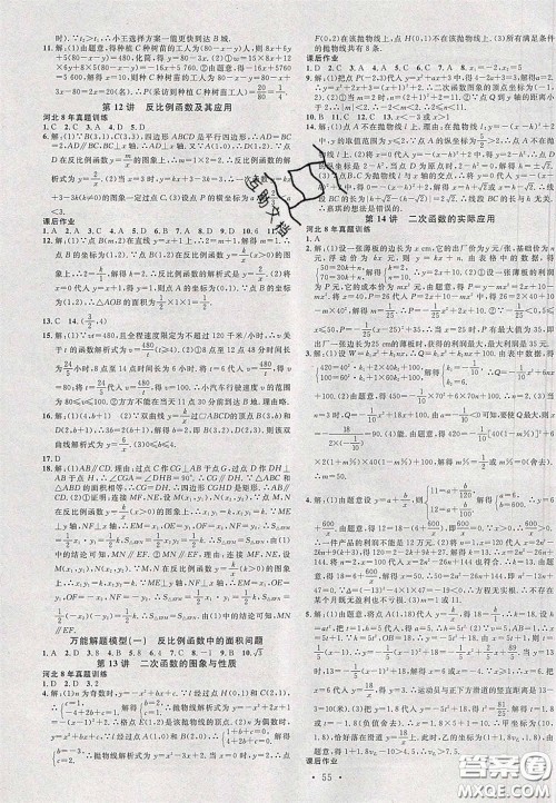 2020火线100天中考滚动复习法数学人教版河北专用答案