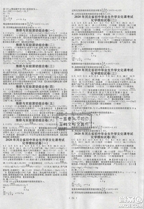 2020火线100天中考滚动复习法化学河北版答案