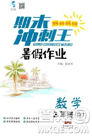 2020年期末冲刺王暑假作业数学三年级RJ人教版参考答案