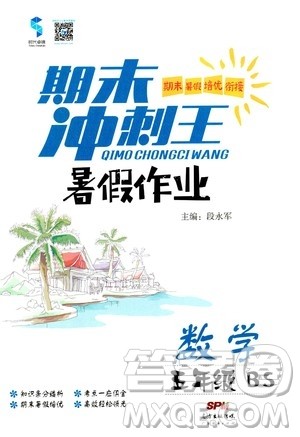 2020年期末冲刺王暑假作业数学五年级BS北师版参考答案