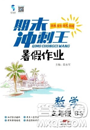 2020年期末冲刺王暑假作业数学三年级BS北师版参考答案