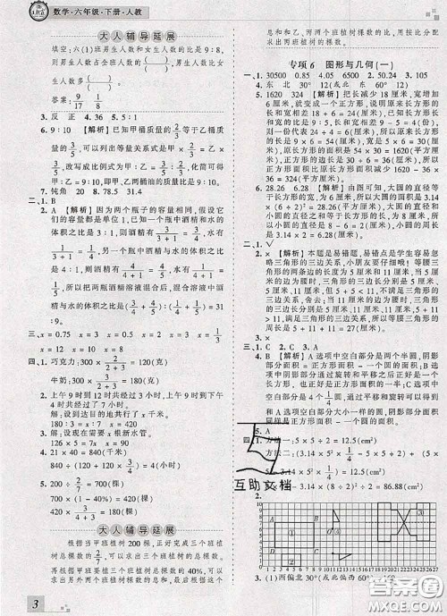 2020年王朝霞各地期末试卷精选六年级数学下册人教版河南专版答案