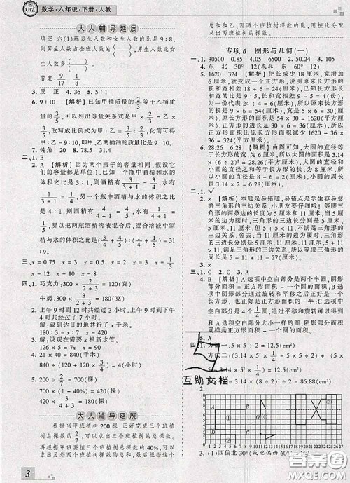 2020年王朝霞各地期末试卷精选六年级数学下册人教版河南专版答案 2020年王朝霞各地期末试卷精选六年级数学下册人教版河南专版答案