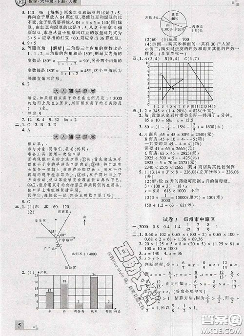 2020年王朝霞各地期末试卷精选六年级数学下册人教版河南专版答案