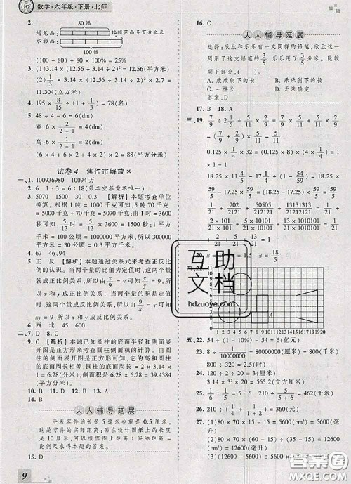 2020年王朝霞各地期末试卷精选六年级数学下册北师版河南专版答案