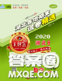 2020年王朝霞各地期末试卷精选六年级数学下册人教版湖北专版答案