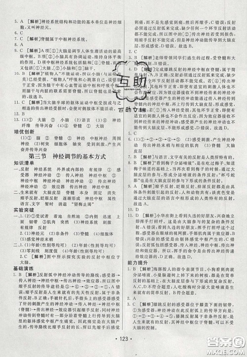 2020年同行学案学练测七年级生物下册鲁科版答案