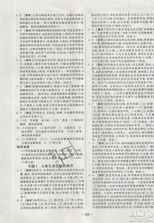 2020年同行学案学练测七年级生物下册鲁科版答案