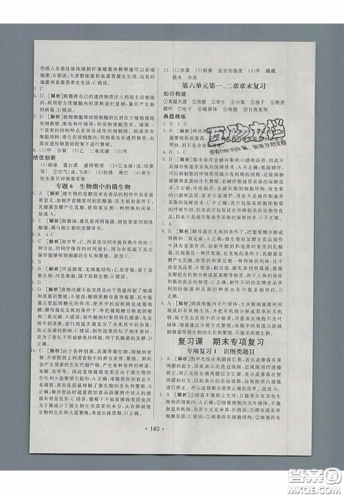 2020年同行学案学练测七年级生物下册鲁科版答案