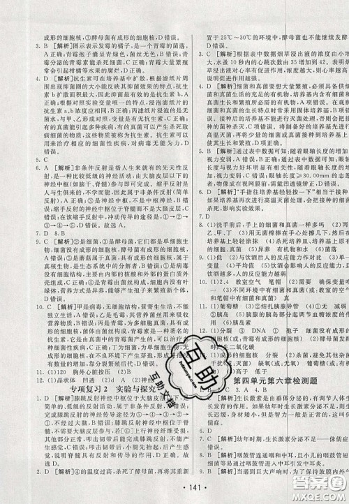 2020年同行学案学练测七年级生物下册鲁科版答案