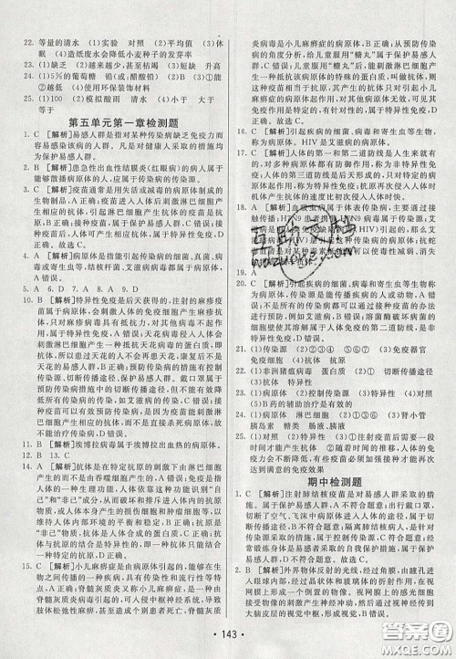 2020年同行学案学练测七年级生物下册鲁科版答案