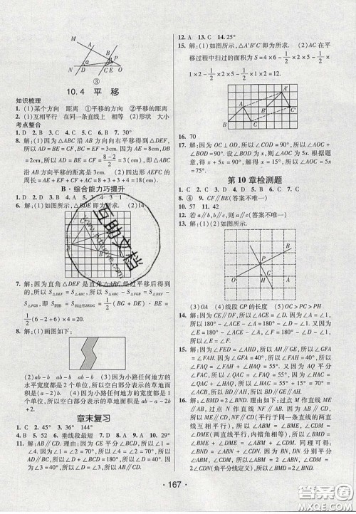 2020年同行学案学练测七年级数学下册沪科版答案