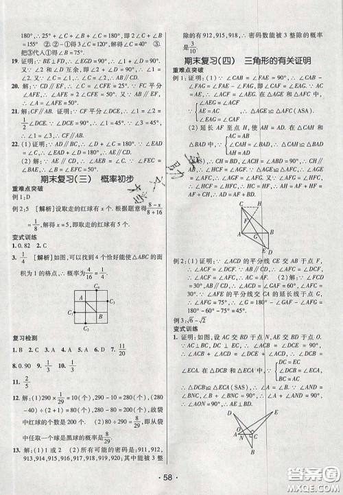 2020年同行学案学练测七年级数学下册鲁教版烟台专版答案