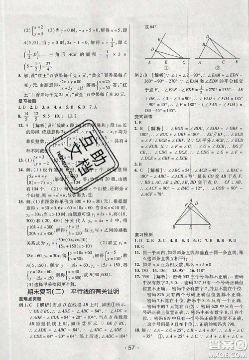 2020年同行学案学练测七年级数学下册鲁教版烟台专版答案