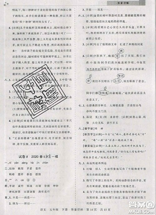 2020年王朝霞各地期末试卷精选五年级语文下册人教版湖北专版答案