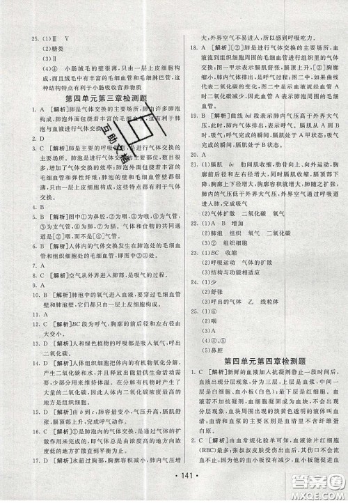 2020年同行学案学练测七年级生物下册青岛专版答案 2020年同行学案学练测七年级生物下册青岛专版答案