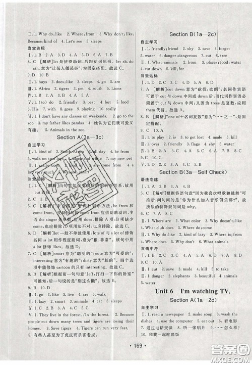 2020年同行学案学练测七年级英语下册青岛专版答案