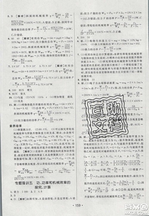 2020年同行学案学练测八年级物理下册鲁教版烟台专版答案