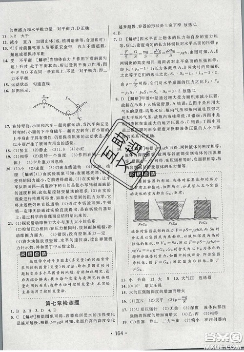 2020年同行学案学练测八年级物理下册鲁教版烟台专版答案