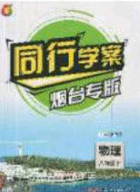 2020年同行学案学练测八年级物理下册鲁教版烟台专版答案 2020年同行学案学练测八年级物理下册鲁教版烟台专版答案