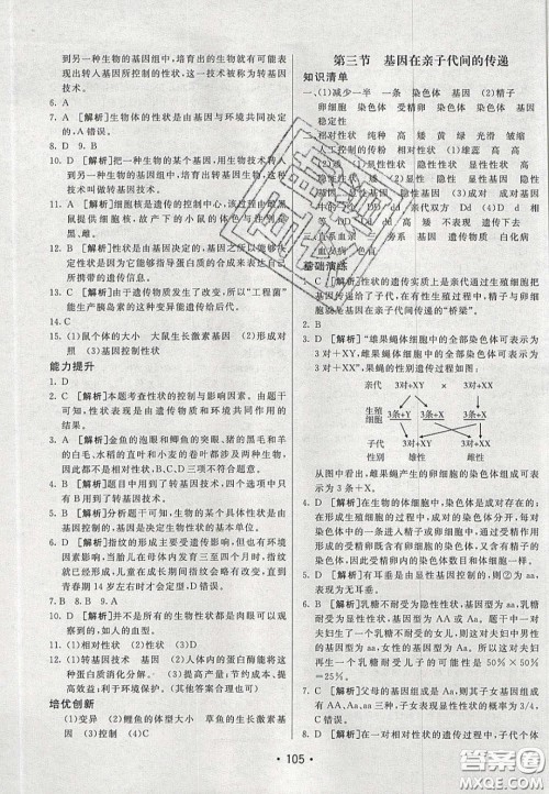 2020年同行学案学练测八年级生物下册鲁教版答案