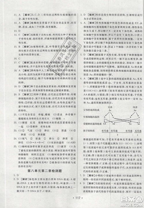 2020年同行学案学练测八年级生物下册鲁教版答案