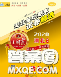 2020年王朝霞各地期末试卷精选三年级语文下册人教版湖北专版答案