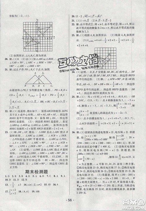 2020年同行学案学练测八年级数学下册青岛版答案 2020年同行学案学练测八年级数学下册青岛版答案