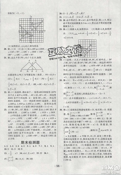 2020年同行学案学练测八年级数学下册青岛版答案