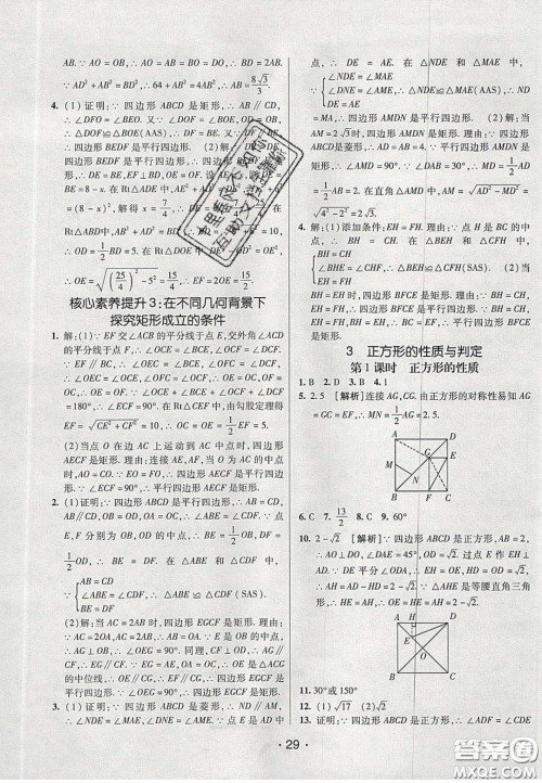 2020年同行学案学练测八年级数学下册鲁教版烟台专版答案