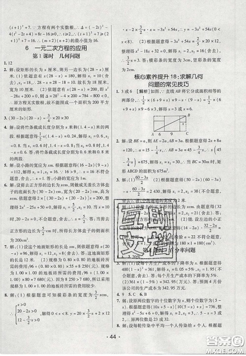 2020年同行学案学练测八年级数学下册鲁教版烟台专版答案