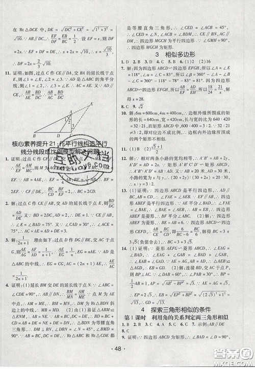 2020年同行学案学练测八年级数学下册鲁教版烟台专版答案 2020年同行学案学练测八年级数学下册鲁教版烟台专版答案