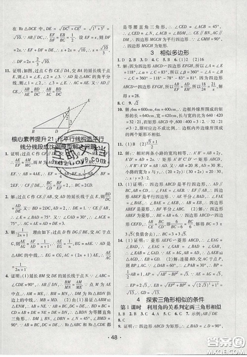 2020年同行学案学练测八年级数学下册鲁教版烟台专版答案